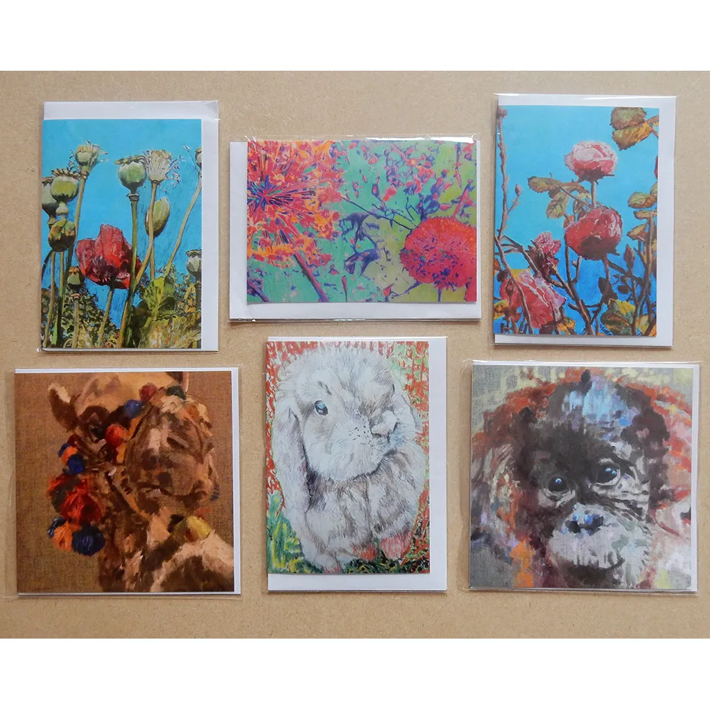 A Variety Pack of Blank Art Cards by Stella Tooth