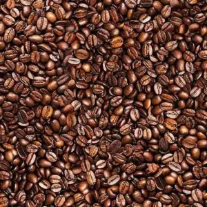 Timeless Treasures Coffee Bean Fabric Back to the Grind