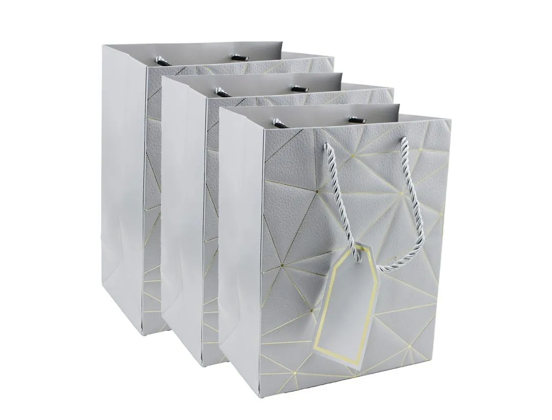 Twisted Handle Kraft Paper Bags For Hen Parties, Weddings, and Special Occasions - Silver